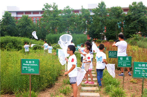 全国青少年科技创新活动服务平台