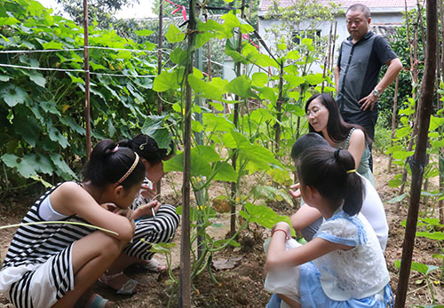 安徽省宿松县破凉镇花凉中学中考查询