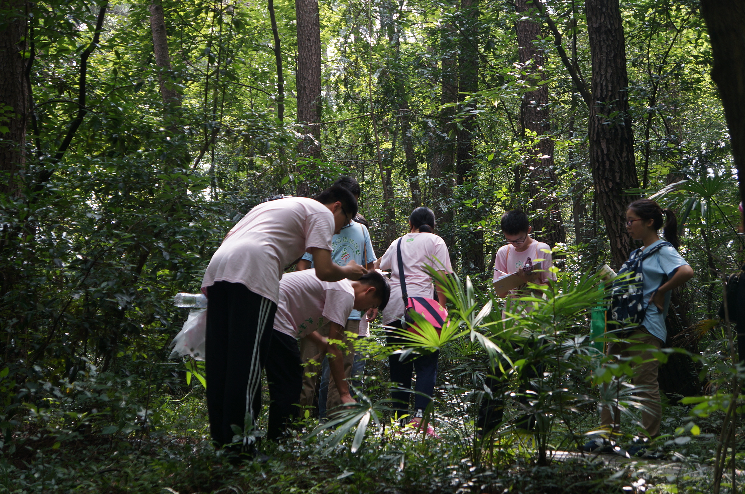 全国青少年科技创新活动服务平台