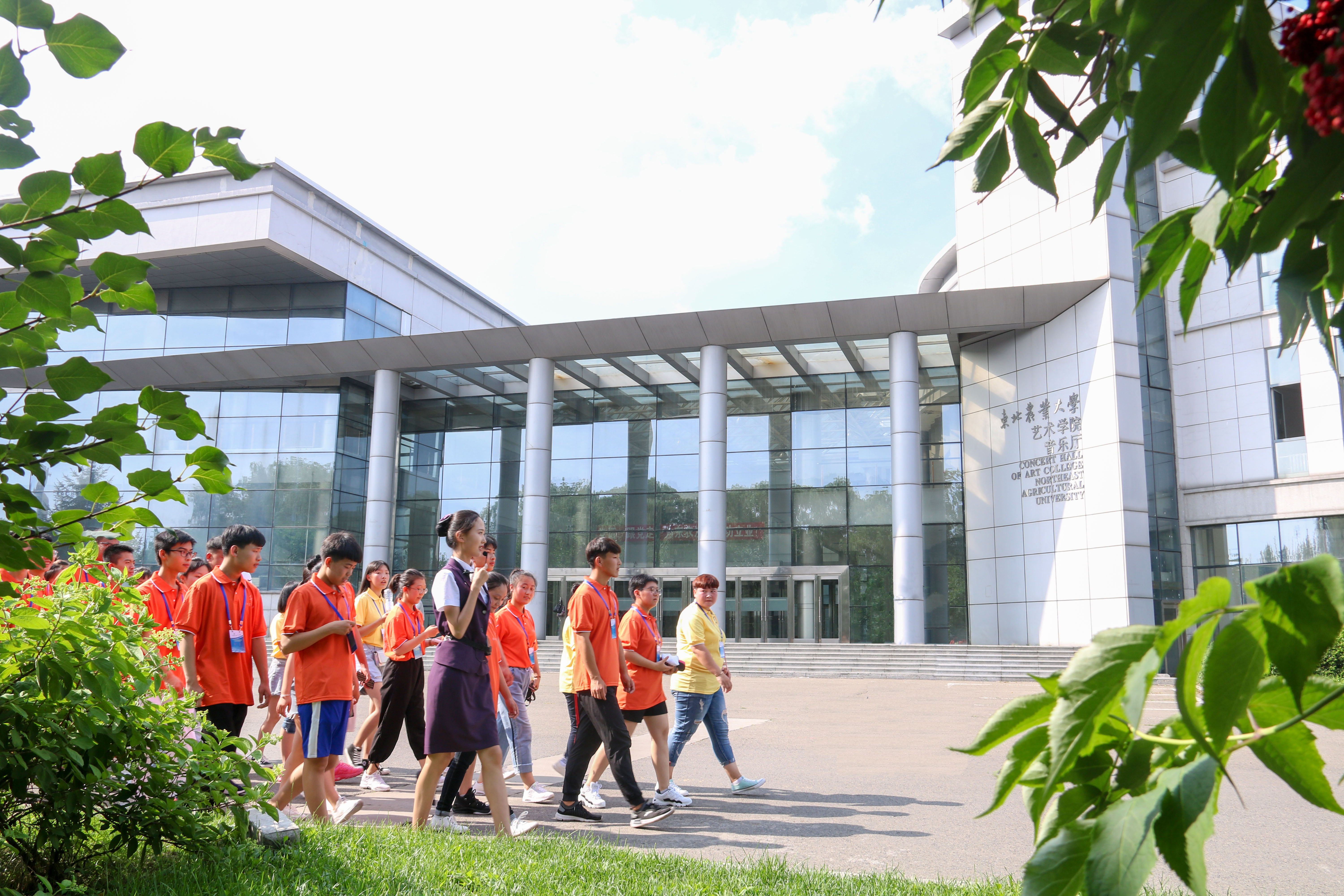 全国青少年科技创新活动服务平台