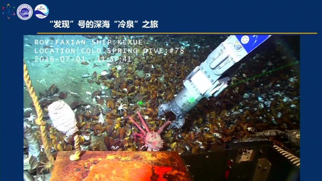科普讲座,分别以"深海冷泉热液探秘之旅"探秘西太平洋'海底花园"