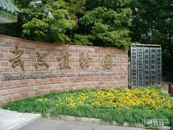      武汉植物园