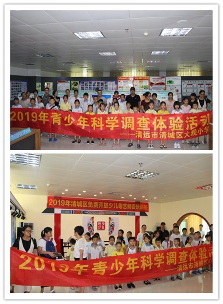 清城区大观小学2019年科学调查体验活动之参观清城区文化馆,博物馆